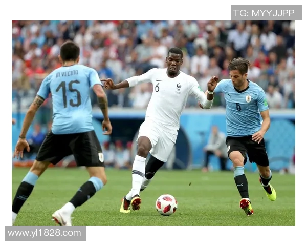 乌拉圭与法国的巅峰对决谁将赢得这场足球盛宴